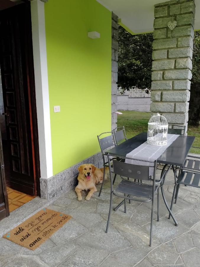 Il Faggio Bed & Breakfast Beura ภายนอก รูปภาพ